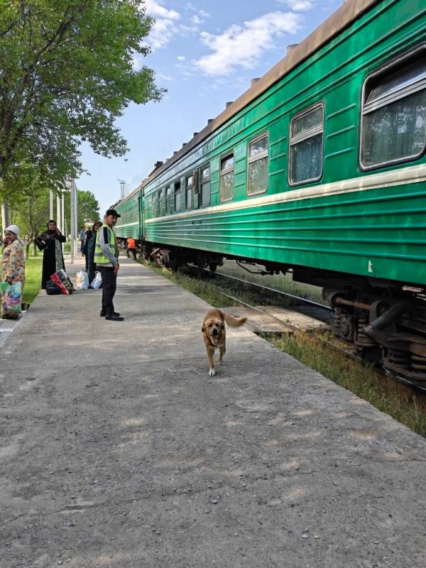 tj-tajik_railways-express_coaches-april2025-timovarshukov-full.jpg